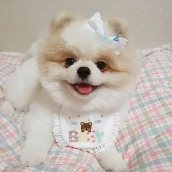 Korejas cute baby bear izšuvumi suņu kombinezoni ar krūšdaļu pet kombinezoni ar krūšdaļu siekalas dvieļu Bichon Teddy Hiromi kombinezoni ar krūšdaļu mājdzīvnieku piederumi